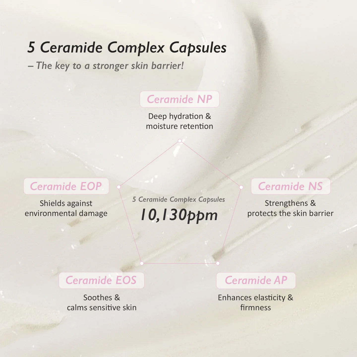 Black Rice 5 Ceramide Barrier Moisturizing Cream - Image 4