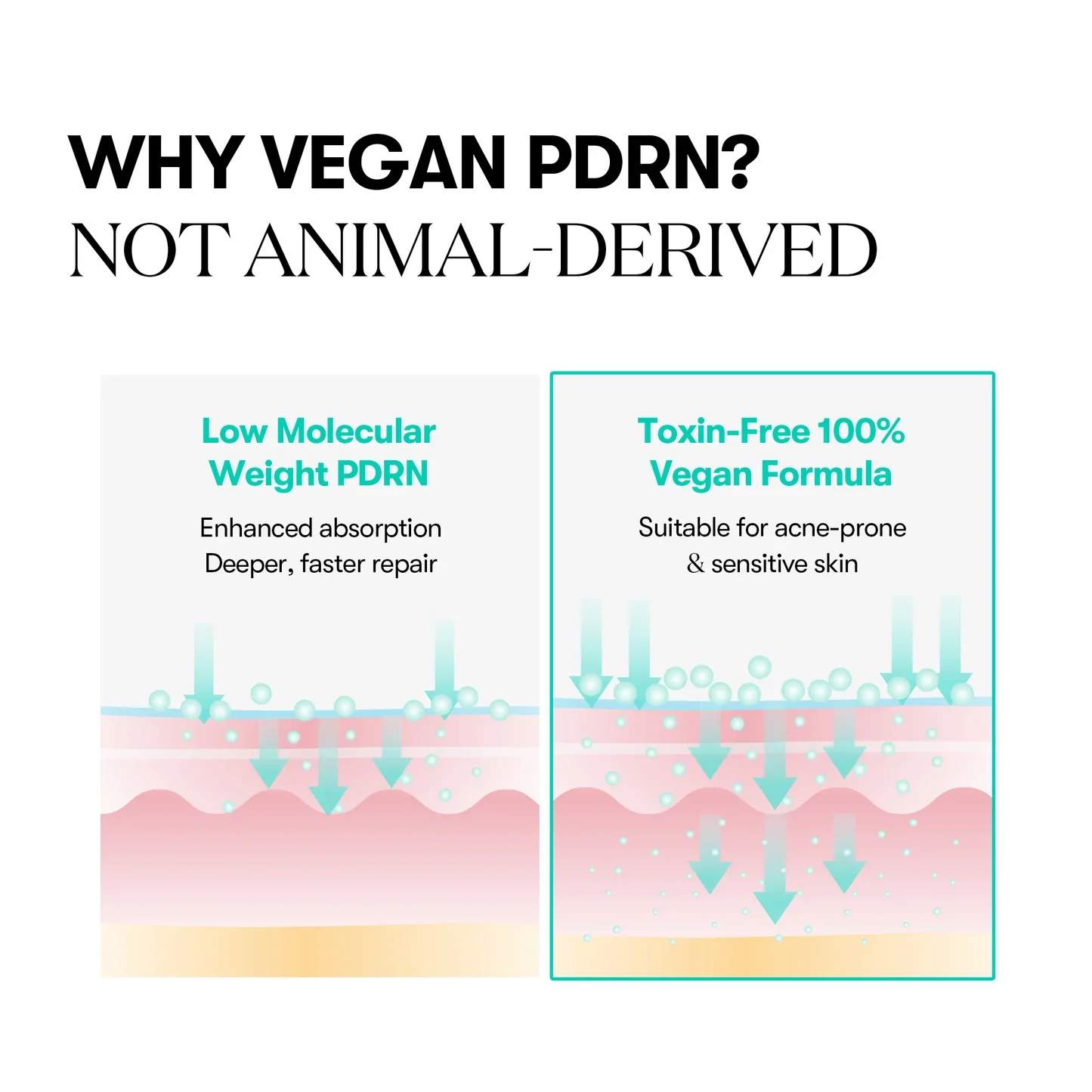PDRN Capsule Cream 100 - Image 4