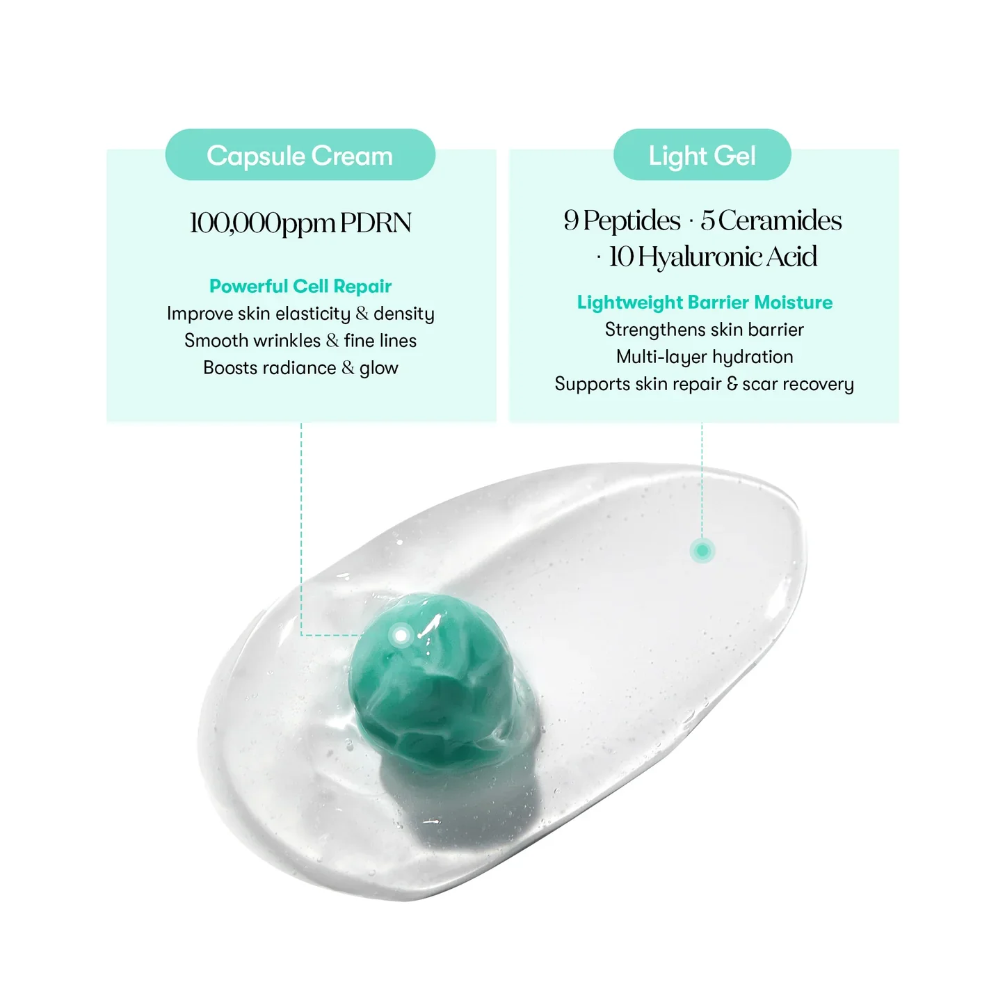 PDRN Capsule Cream 100 - Image 5