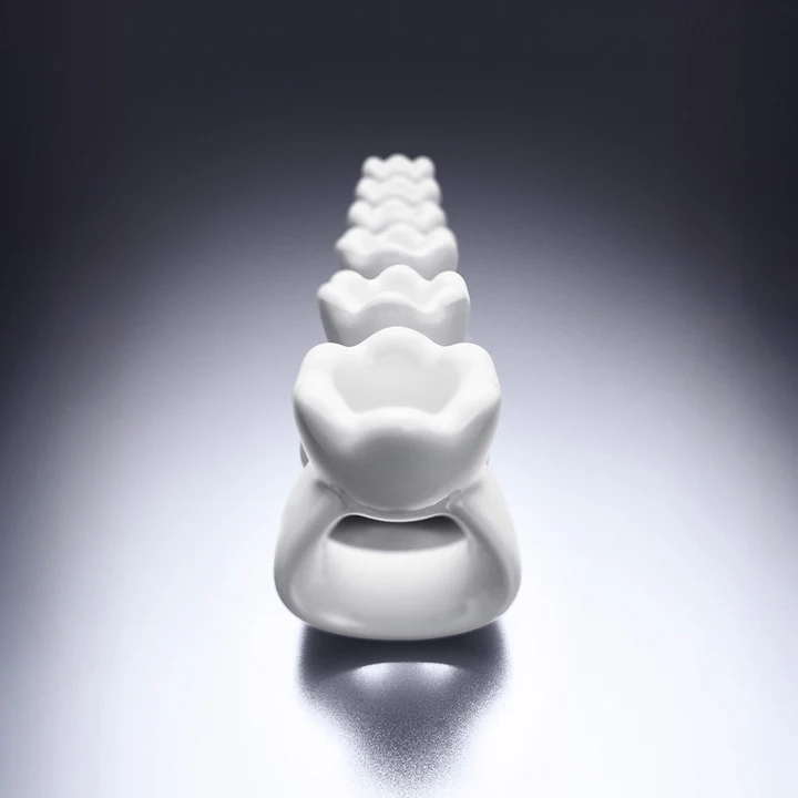 Ring Gua Sha - Image 5