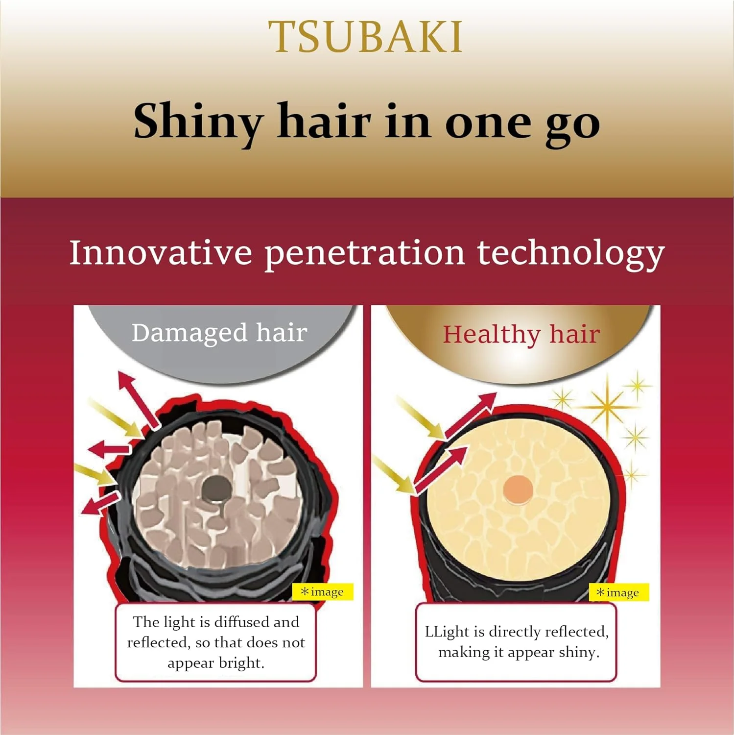 Tsubaki Premium Moist & Repair Shampoo - Image 3