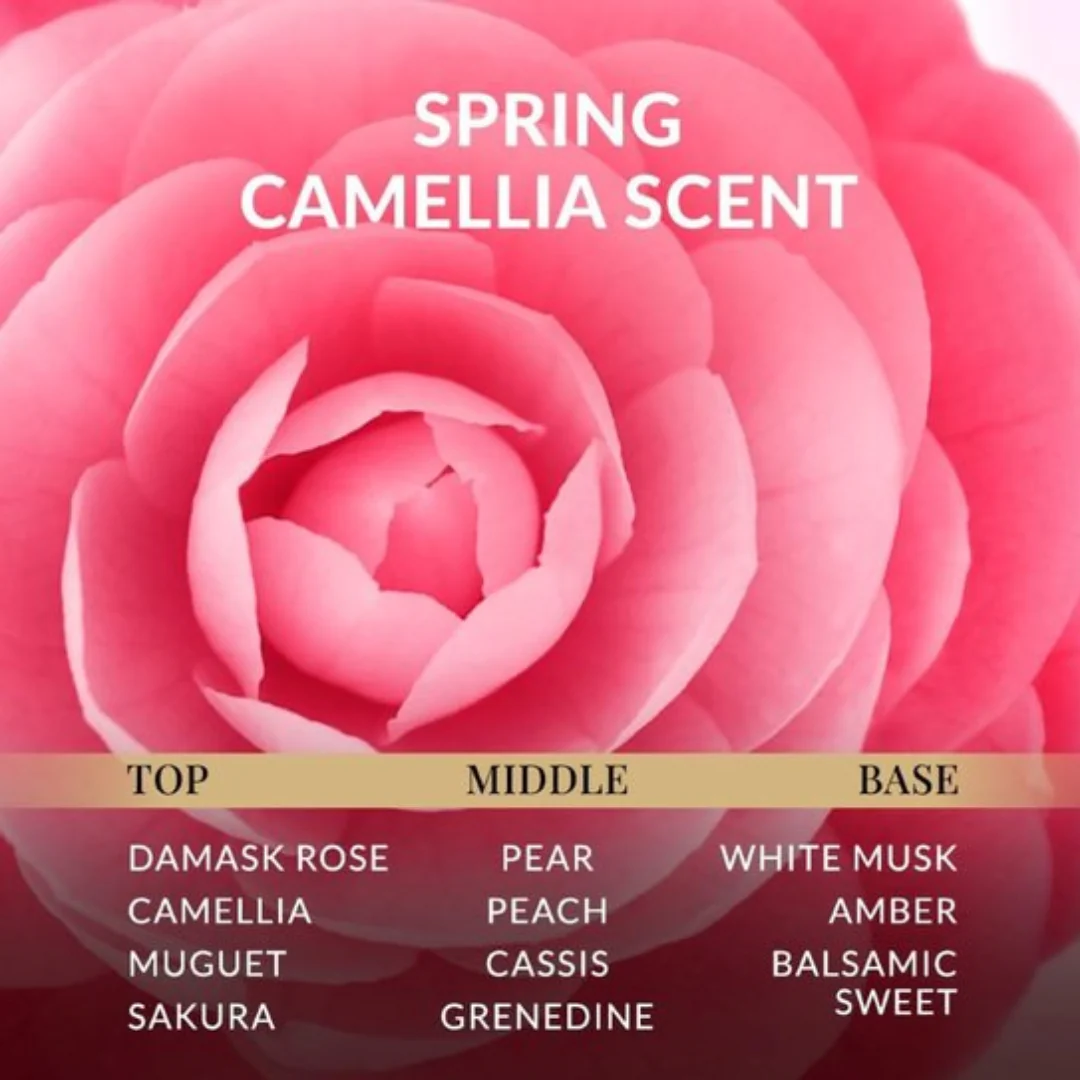 Tsubaki Premium Repair Mask Pink Camellia Japan Edition - Image 4